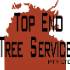 TopEndTreeServices