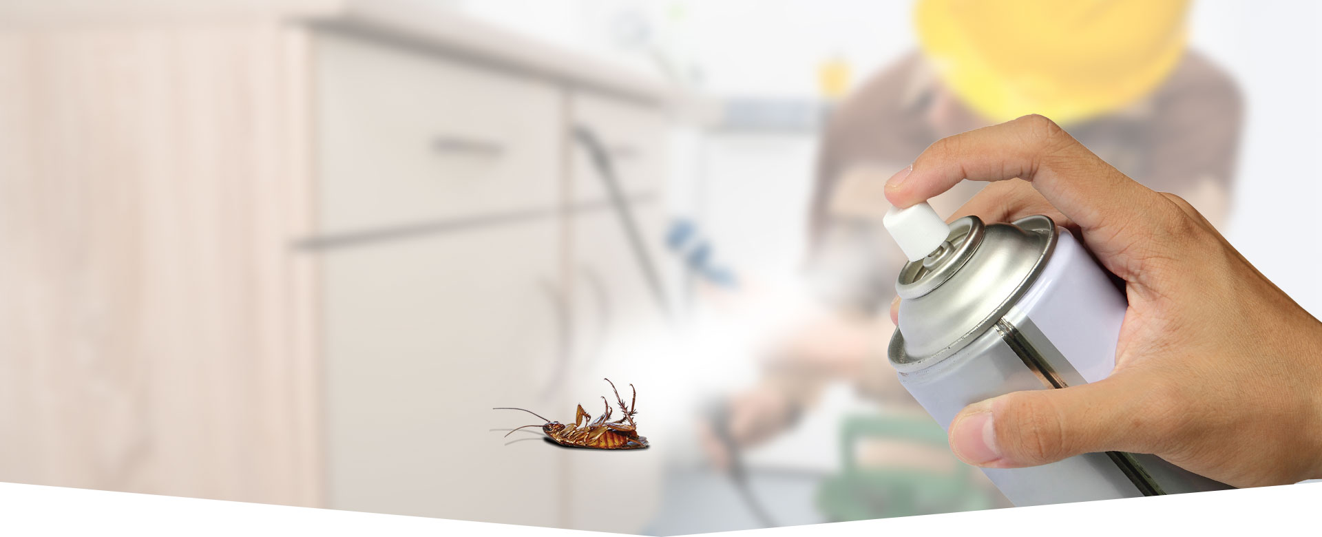 Pest Control Services 